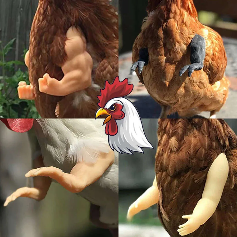 PetVentures Funny Chicken Muscle Arm Toy: Fun Pigeon/Hen Props For Parties  & Events From Hometool_company, $3.88